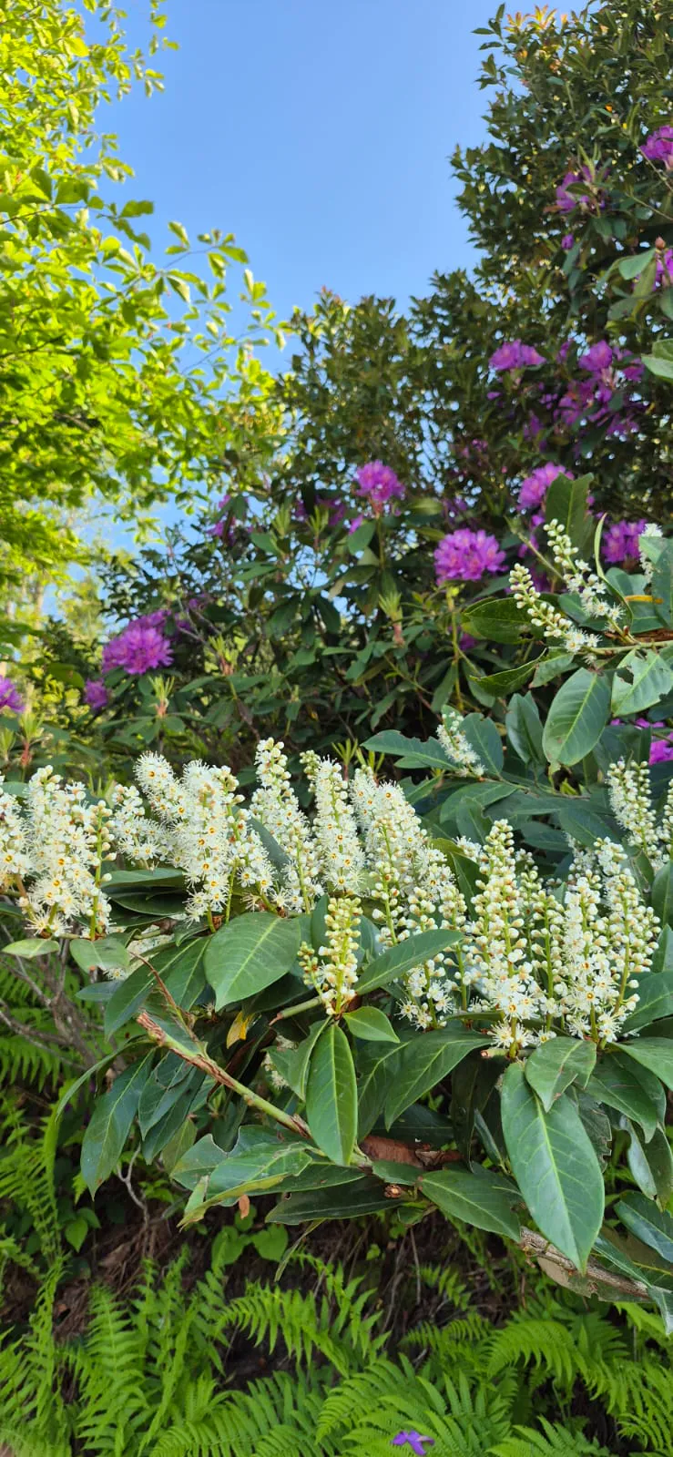 Bee hive and honey production